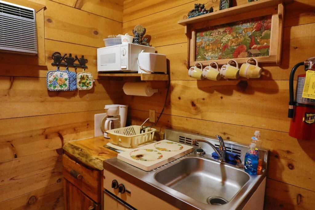 Cute Updated Mountain Cabin Fireplace #3 Helen Esterno foto